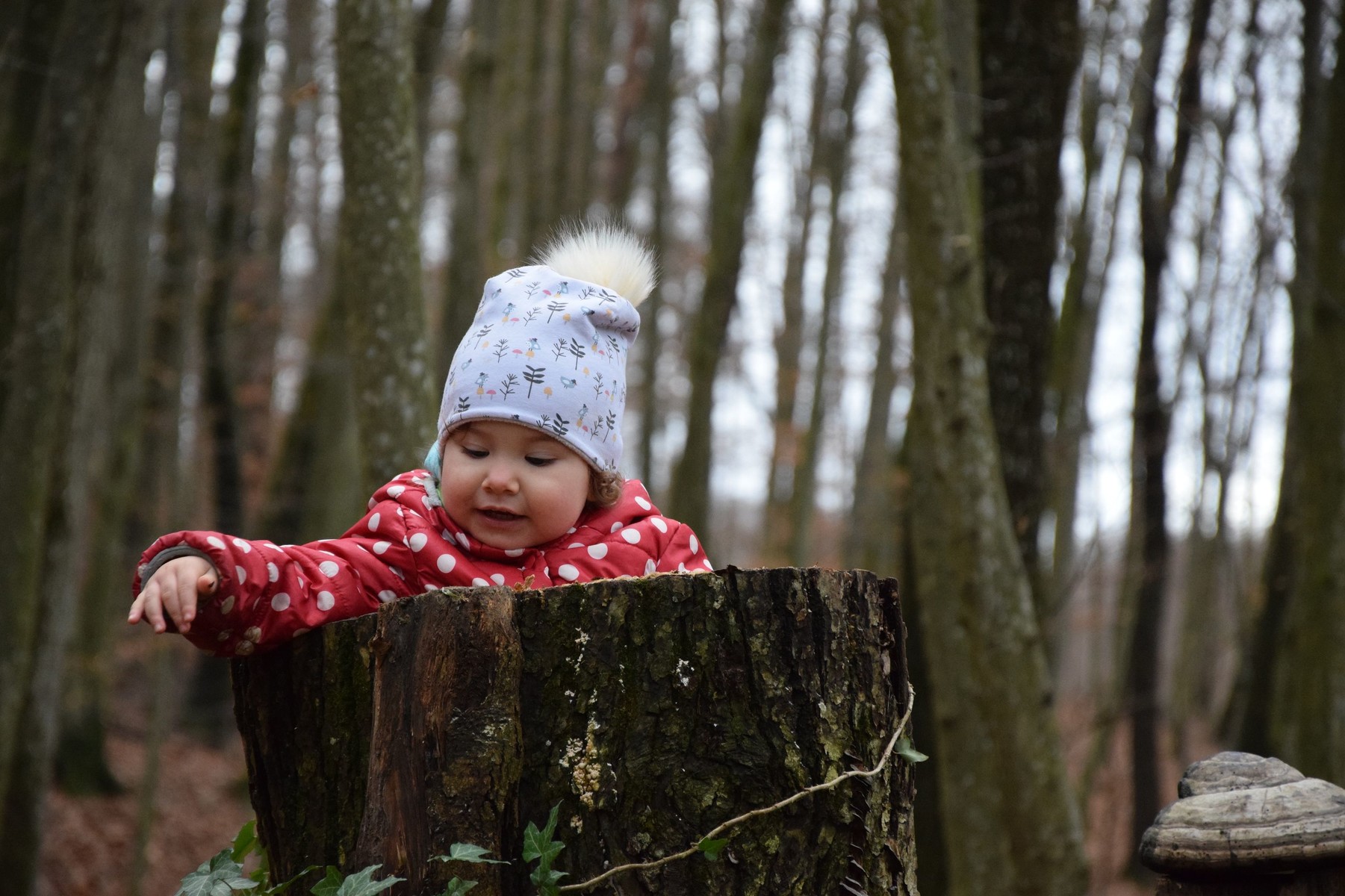 Izlozbeno-okno/134322898n