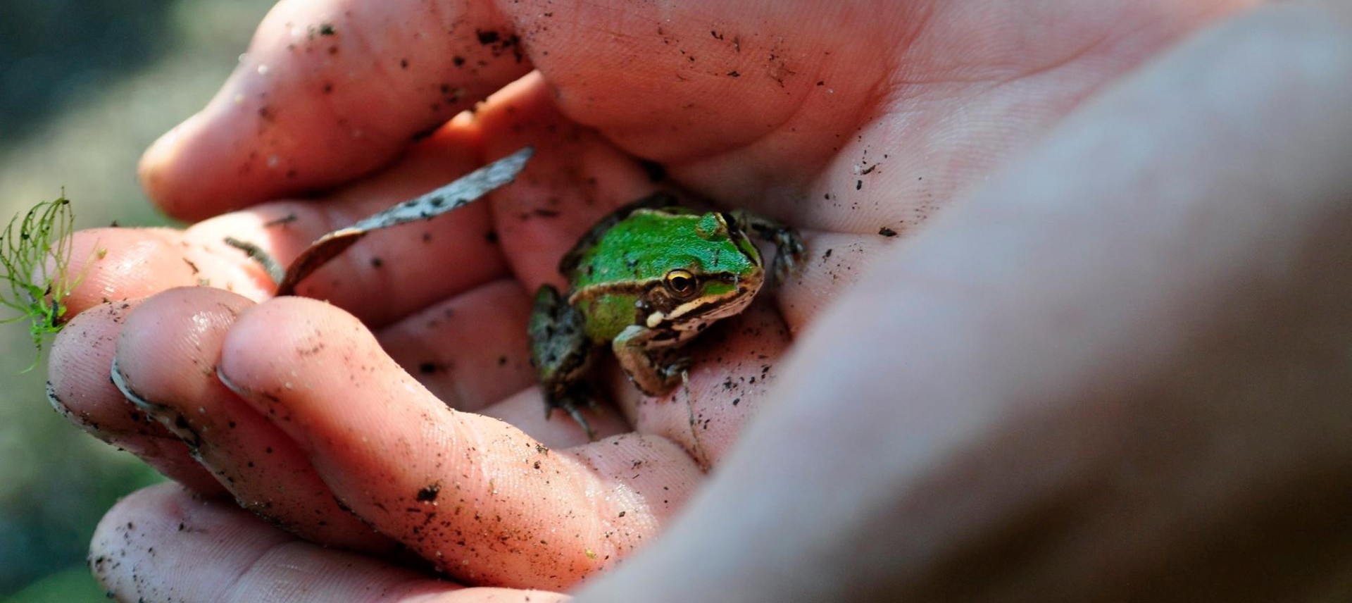 Izlozbeno-okno/spletna-stran