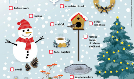 BOŽIČNA ODKRIVALNICA