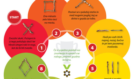 MI SMO GOZDNI GIBALČKI 19/10/2