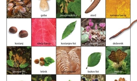 JESENSKI GOZDNI BINGO