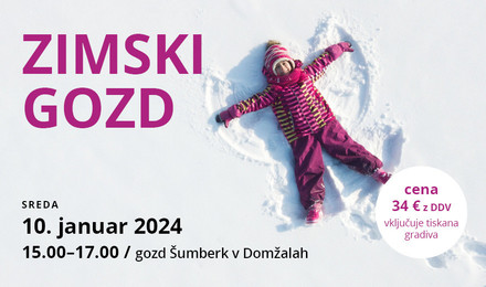 Novice/zimski-gozd